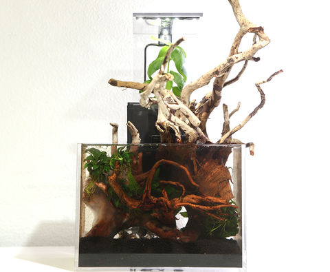 EcoQube Complete