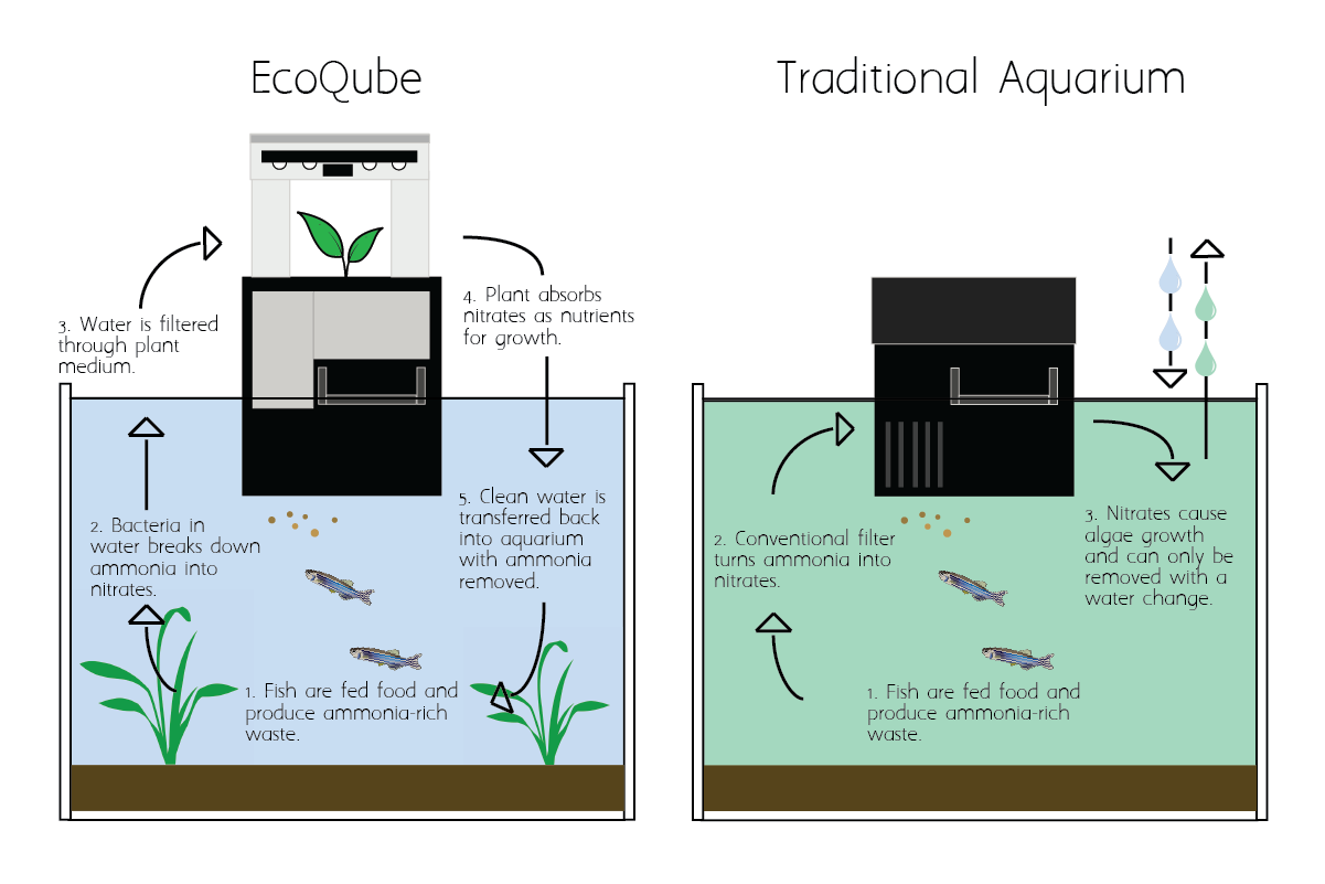 EcoQube Complete
