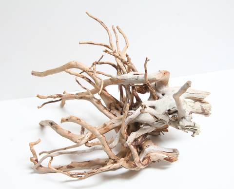 Branch Wood