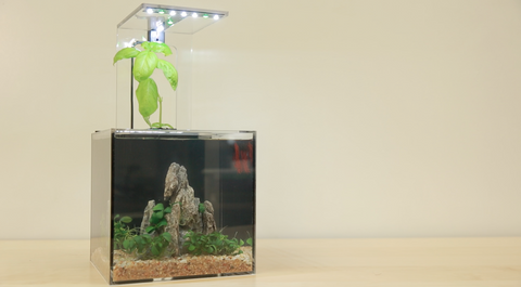 EcoQube C