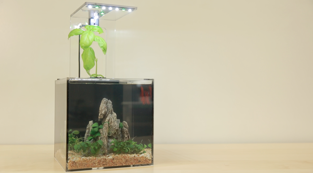 EcoQube C Discount