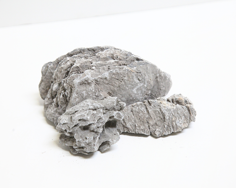 Ryuoh Stone (5lbs)